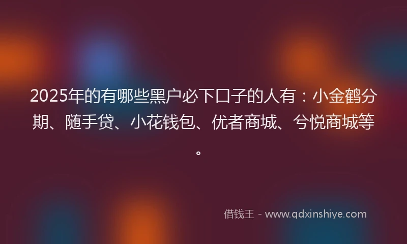 2025年的有哪些黑户必下口子的人有：小金鹤分期、随手贷、小花钱包、优者商城、兮悦商城等。