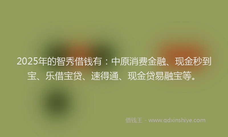 2025年的智秀借钱有：中原消费金融、现金秒到宝、乐借宝贷、速得通、现金贷易融宝等。