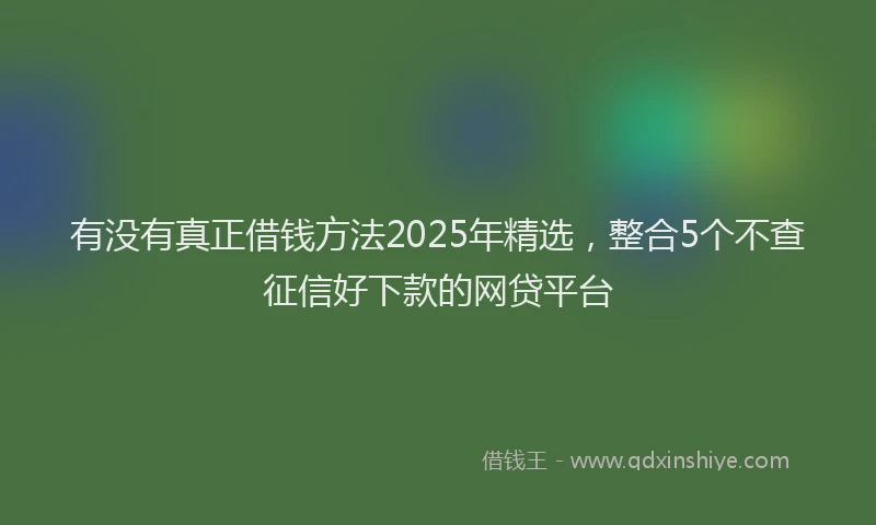 有没有真正借钱方法2025年精选，整合5个不查征信好下款的网贷平台