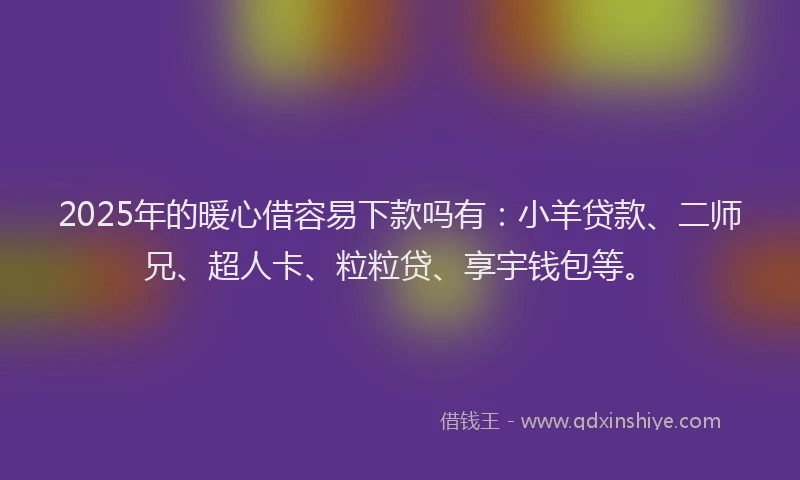 2025年的暖心借容易下款吗有：小羊贷款、二师兄、超人卡、粒粒贷、享宇钱包等。