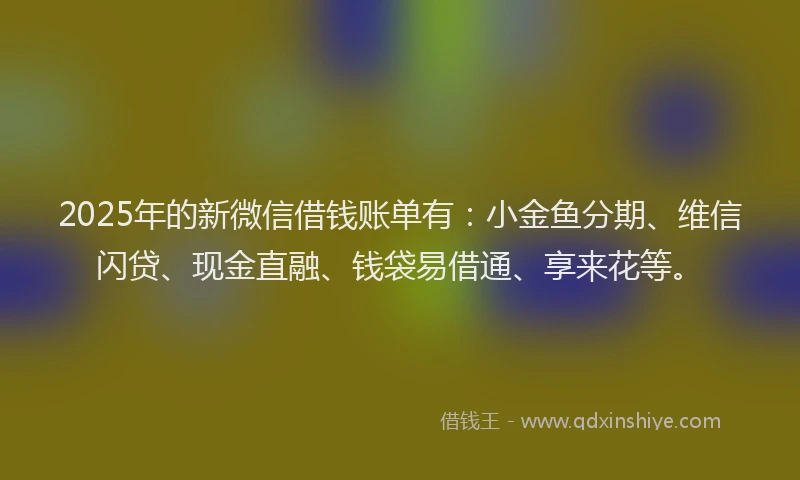 2025年的新微信借钱账单有：小金鱼分期、维信闪贷、现金直融、钱袋易借通、享来花等。