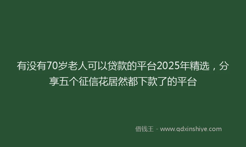 有没有70岁老人可以贷款的平台2025年精选，分享五个征信花居然都下款了的平台