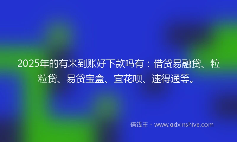 2025年的有米到账好下款吗有：借贷易融贷、粒粒贷、易贷宝盒、宜花呗、速得通等。