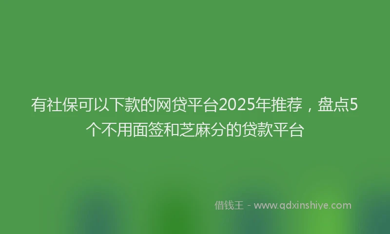 有社保可以下款的网贷平台2025年推荐，盘点5个不用面签和芝麻分的贷款平台