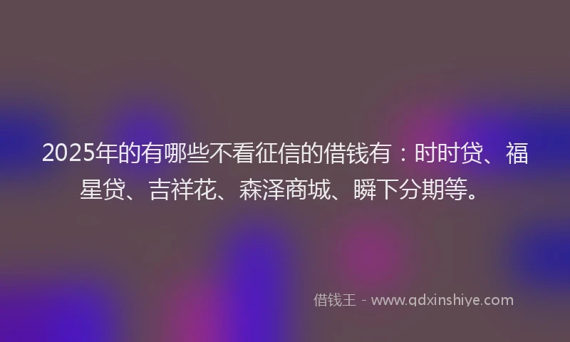 2025年的有哪些不看征信的借钱有：时时贷、福星贷、吉祥花、森泽商城、瞬下分期等。