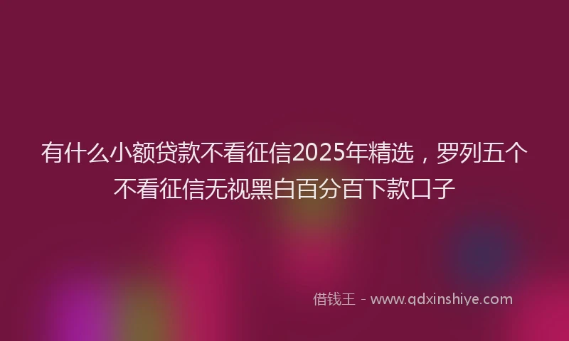 有什么小额贷款不看征信2025年精选，罗列五个不看征信无视黑白百分百下款口子