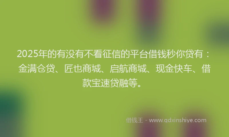 2025年的有没有不看征信的平台借钱秒你贷有：金满仓贷、匠也商城、启航商城、现金快车、借款宝速贷融等。