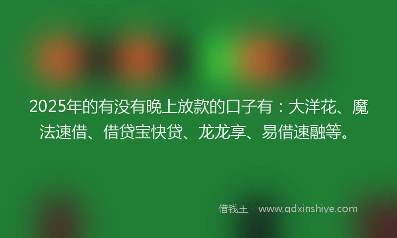 2025年的有没有晚上放款的口子有：大洋花、魔法速借、借贷宝快贷、龙龙享、易借速融等。