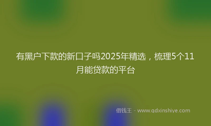 有黑户下款的新口子吗2025年精选，梳理5个11月能贷款的平台