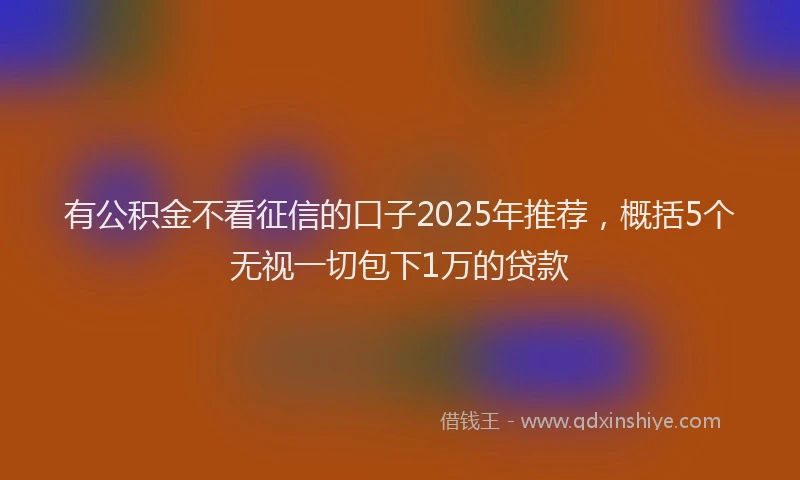 有公积金不看征信的口子2025年推荐，概括5个无视一切包下1万的贷款