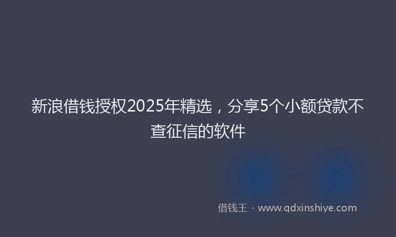 新浪借钱授权2025年精选，分享5个小额贷款不查征信的软件
