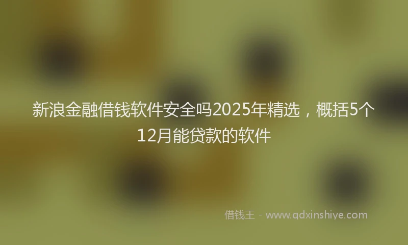 新浪金融借钱软件安全吗2025年精选，概括5个12月能贷款的软件