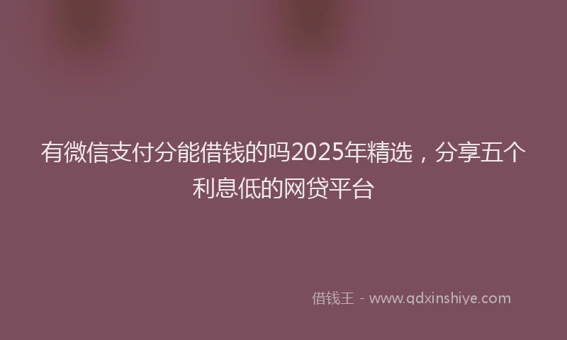 有微信支付分能借钱的吗2025年精选，分享五个利息低的网贷平台