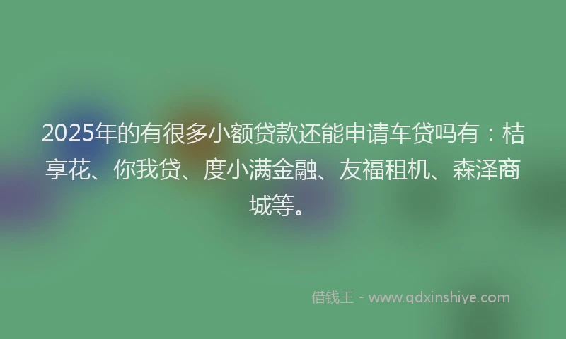 2025年的有很多小额贷款还能申请车贷吗有：桔享花、你我贷、度小满金融、友福租机、森泽商城等。
