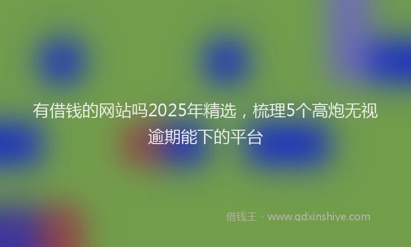 有借钱的网站吗2025年精选，梳理5个高炮无视逾期能下的平台