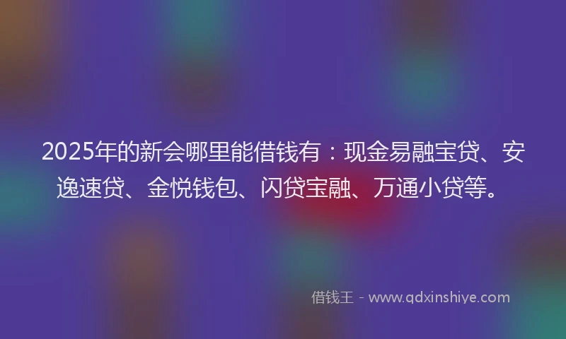 2025年的新会哪里能借钱有：现金易融宝贷、安逸速贷、金悦钱包、闪贷宝融、万通小贷等。
