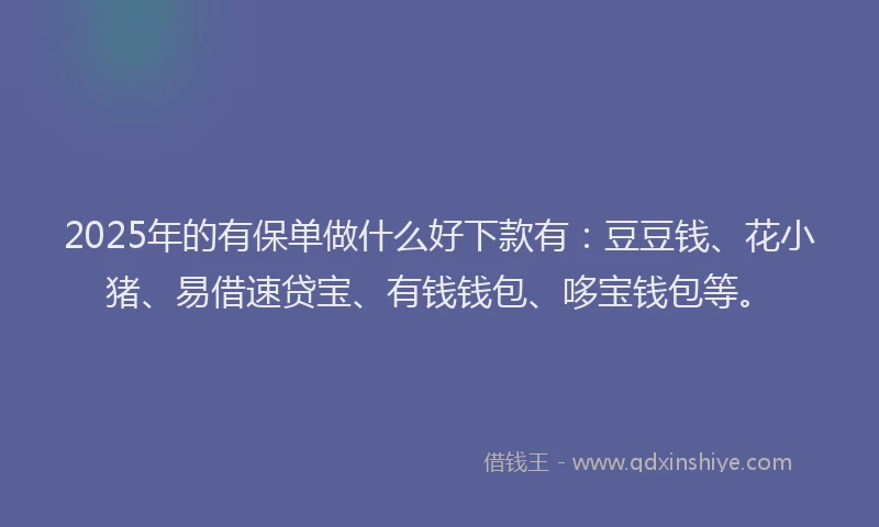 2025年的有保单做什么好下款有：豆豆钱、花小猪、易借速贷宝、有钱钱包、哆宝钱包等。