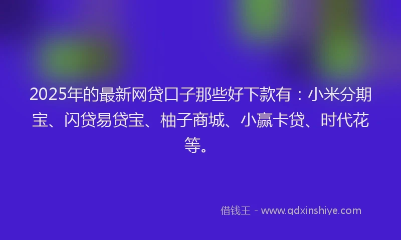 2025年的最新网贷口子那些好下款有：小米分期宝、闪贷易贷宝、柚子商城、小赢卡贷、时代花等。