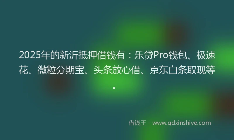 2025年的新沂抵押借钱有：乐贷Pro钱包、极速花、微粒分期宝、头条放心借、京东白条取现等。