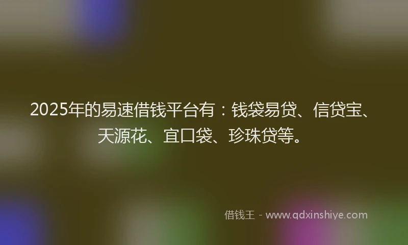 2025年的易速借钱平台有：钱袋易贷、信贷宝、天源花、宜口袋、珍珠贷等。