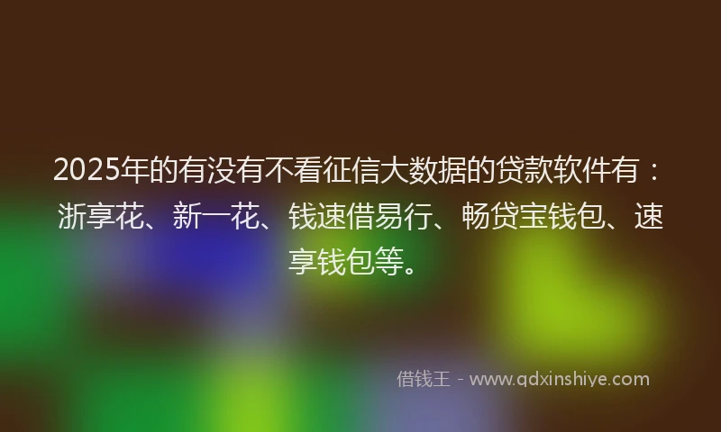 2025年的有没有不看征信大数据的贷款软件有：浙享花、新一花、钱速借易行、畅贷宝钱包、速享钱包等。