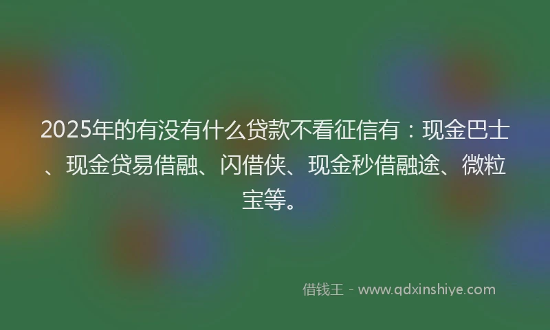 2025年的有没有什么贷款不看征信有：现金巴士、现金贷易借融、闪借侠、现金秒借融途、微粒宝等。