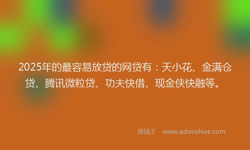 2025年的最容易放贷的网贷有：天小花、金满仓贷、腾讯微粒贷、功夫快借、现金侠快融等。