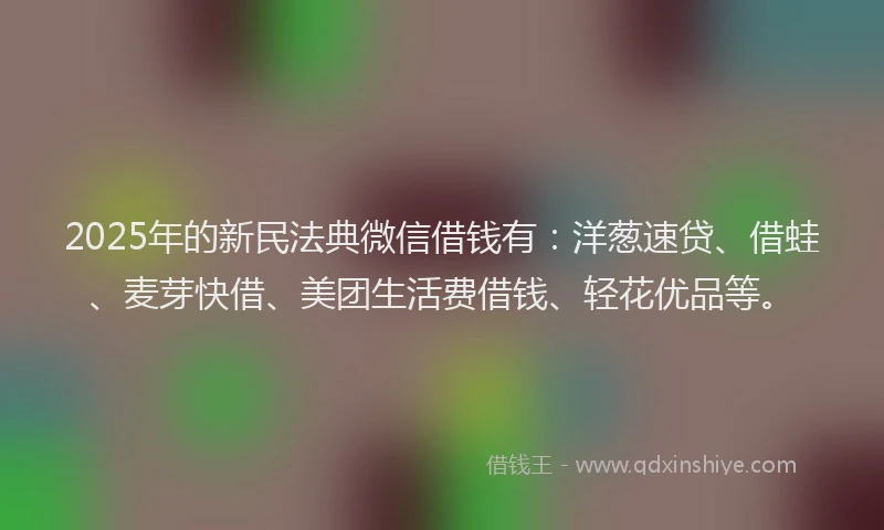 2025年的新民法典微信借钱有：洋葱速贷、借蛙、麦芽快借、美团生活费借钱、轻花优品等。