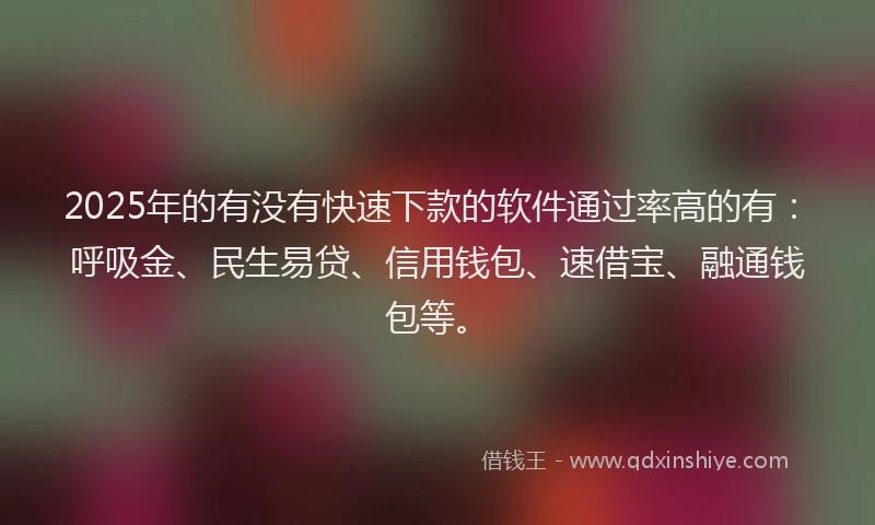 2025年的有没有快速下款的软件通过率高的有：呼吸金、民生易贷、信用钱包、速借宝、融通钱包等。
