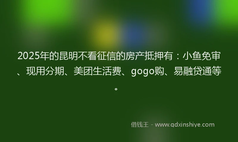2025年的昆明不看征信的房产抵押有：小鱼免审、现用分期、美团生活费、gogo购、易融贷通等。