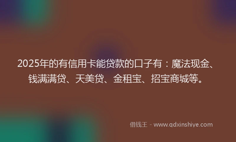 2025年的有信用卡能贷款的口子有：魔法现金、钱满满贷、天美贷、金租宝、招宝商城等。