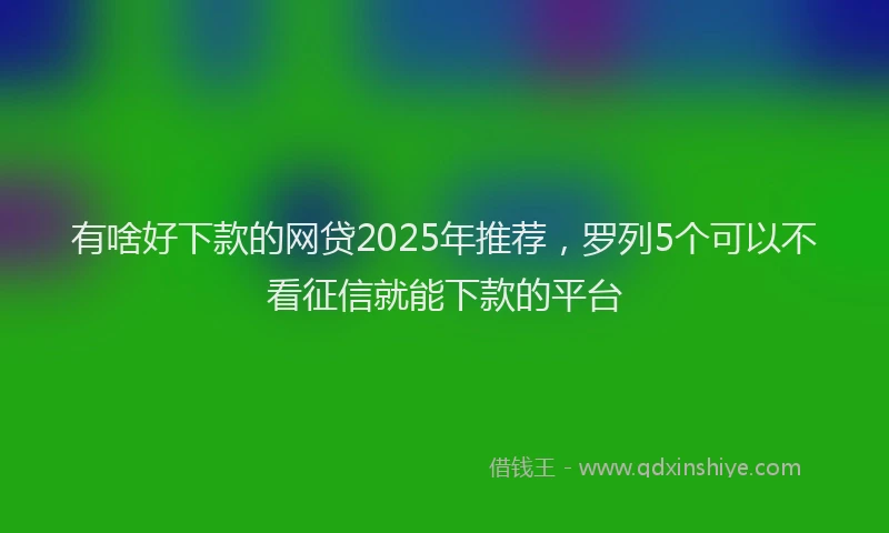 有啥好下款的网贷2025年推荐，罗列5个可以不看征信就能下款的平台