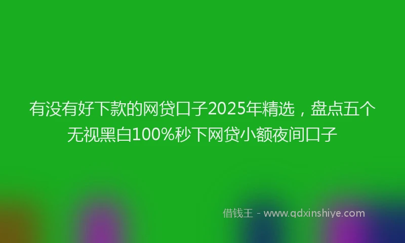有没有好下款的网贷口子2025年精选，盘点五个无视黑白100%秒下网贷小额夜间口子