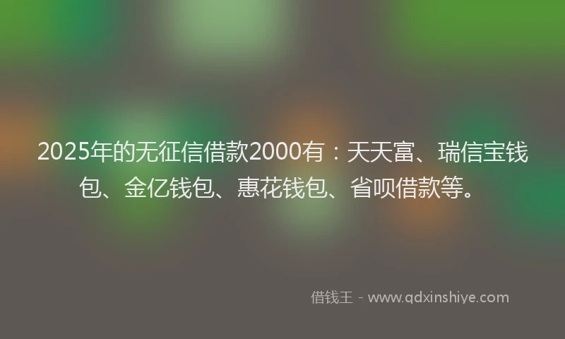 2025年的无征信借款2000有：天天富、瑞信宝钱包、金亿钱包、惠花钱包、省呗借款等。