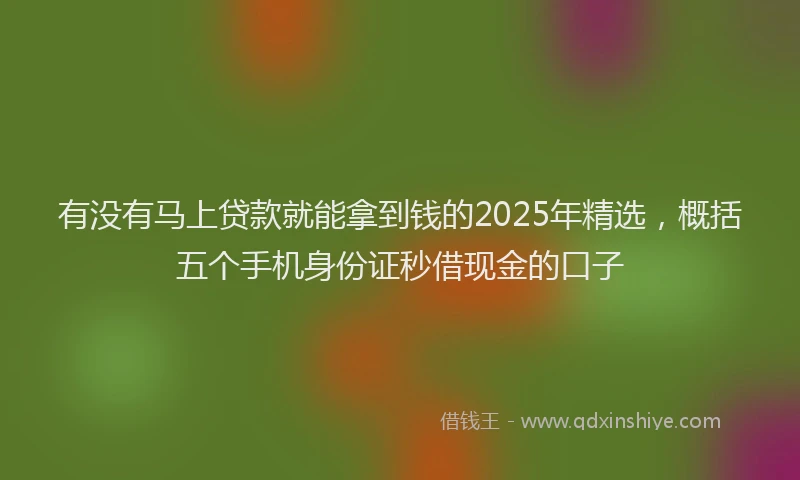 有没有马上贷款就能拿到钱的2025年精选，概括五个手机身份证秒借现金的口子