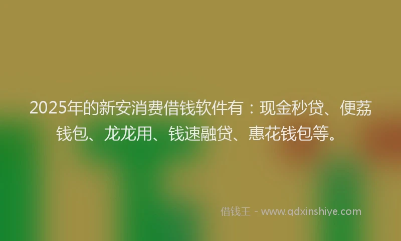 2025年的新安消费借钱软件有：现金秒贷、便荔钱包、龙龙用、钱速融贷、惠花钱包等。