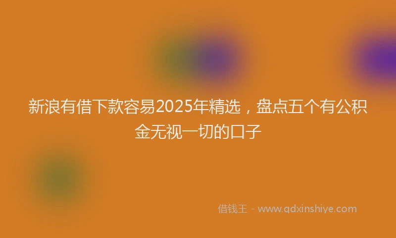 新浪有借下款容易2025年精选，盘点五个有公积金无视一切的口子