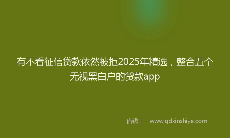 有不看征信贷款依然被拒2025年精选，整合五个无视黑白户的贷款app