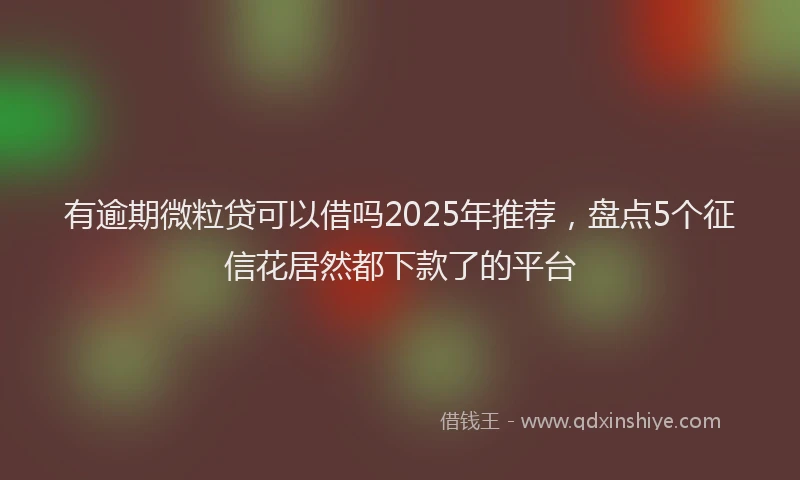 有逾期微粒贷可以借吗2025年推荐，盘点5个征信花居然都下款了的平台