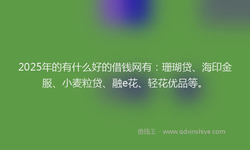 2025年的有什么好的借钱网有：珊瑚贷、海印金服、小麦粒贷、融e花、轻花优品等。