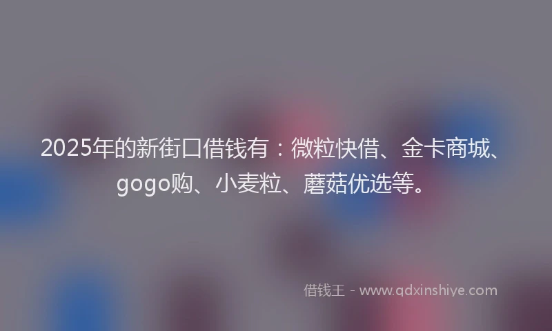 2025年的新街口借钱有：微粒快借、金卡商城、gogo购、小麦粒、蘑菇优选等。