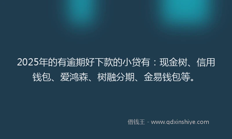 2025年的有逾期好下款的小贷有：现金树、信用钱包、爱鸿森、树融分期、金易钱包等。