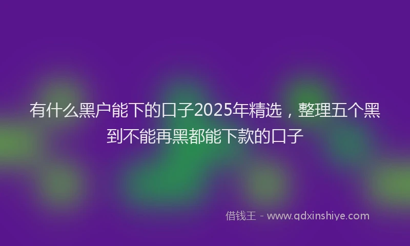 有什么黑户能下的口子2025年精选，整理五个黑到不能再黑都能下款的口子