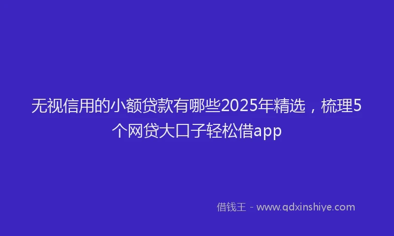 无视信用的小额贷款有哪些2025年精选，梳理5个网贷大口子轻松借app