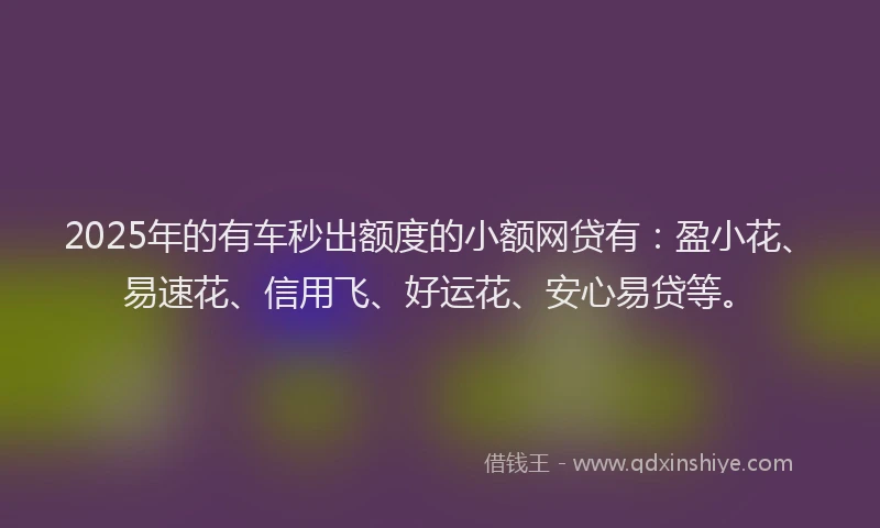 2025年的有车秒出额度的小额网贷有：盈小花、易速花、信用飞、好运花、安心易贷等。