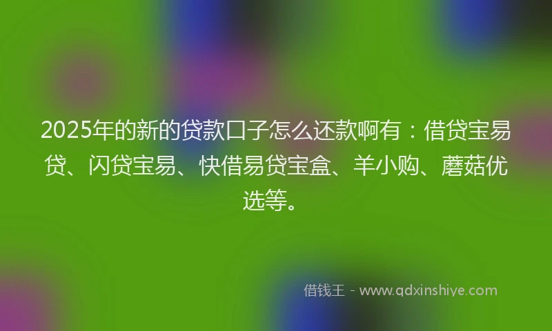 2025年的新的贷款口子怎么还款啊有：借贷宝易贷、闪贷宝易、快借易贷宝盒、羊小购、蘑菇优选等。