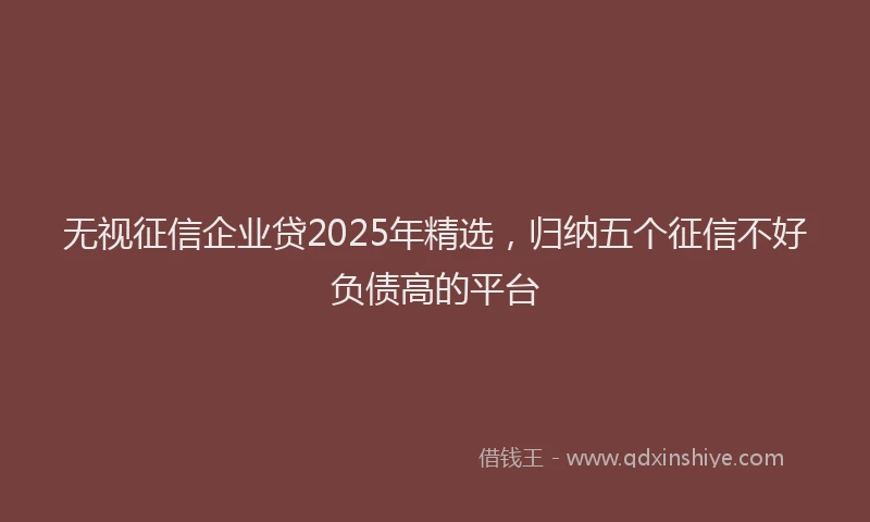 无视征信企业贷2025年精选，归纳五个征信不好负债高的平台