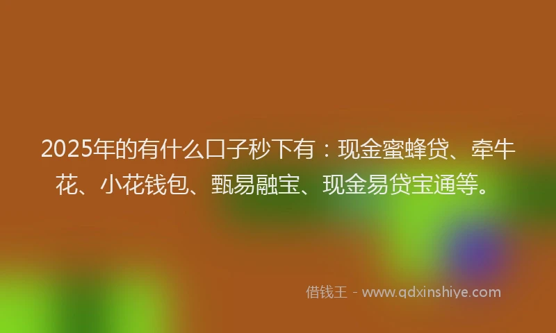 2025年的有什么口子秒下有：现金蜜蜂贷、牵牛花、小花钱包、甄易融宝、现金易贷宝通等。