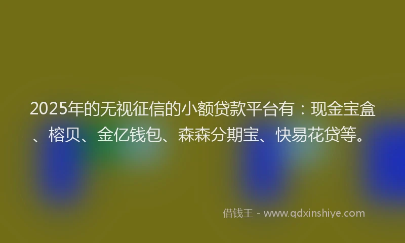 2025年的无视征信的小额贷款平台有：现金宝盒、榕贝、金亿钱包、森森分期宝、快易花贷等。