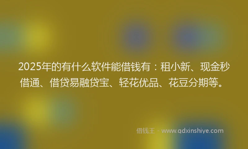 2025年的有什么软件能借钱有：租小新、现金秒借通、借贷易融贷宝、轻花优品、花豆分期等。